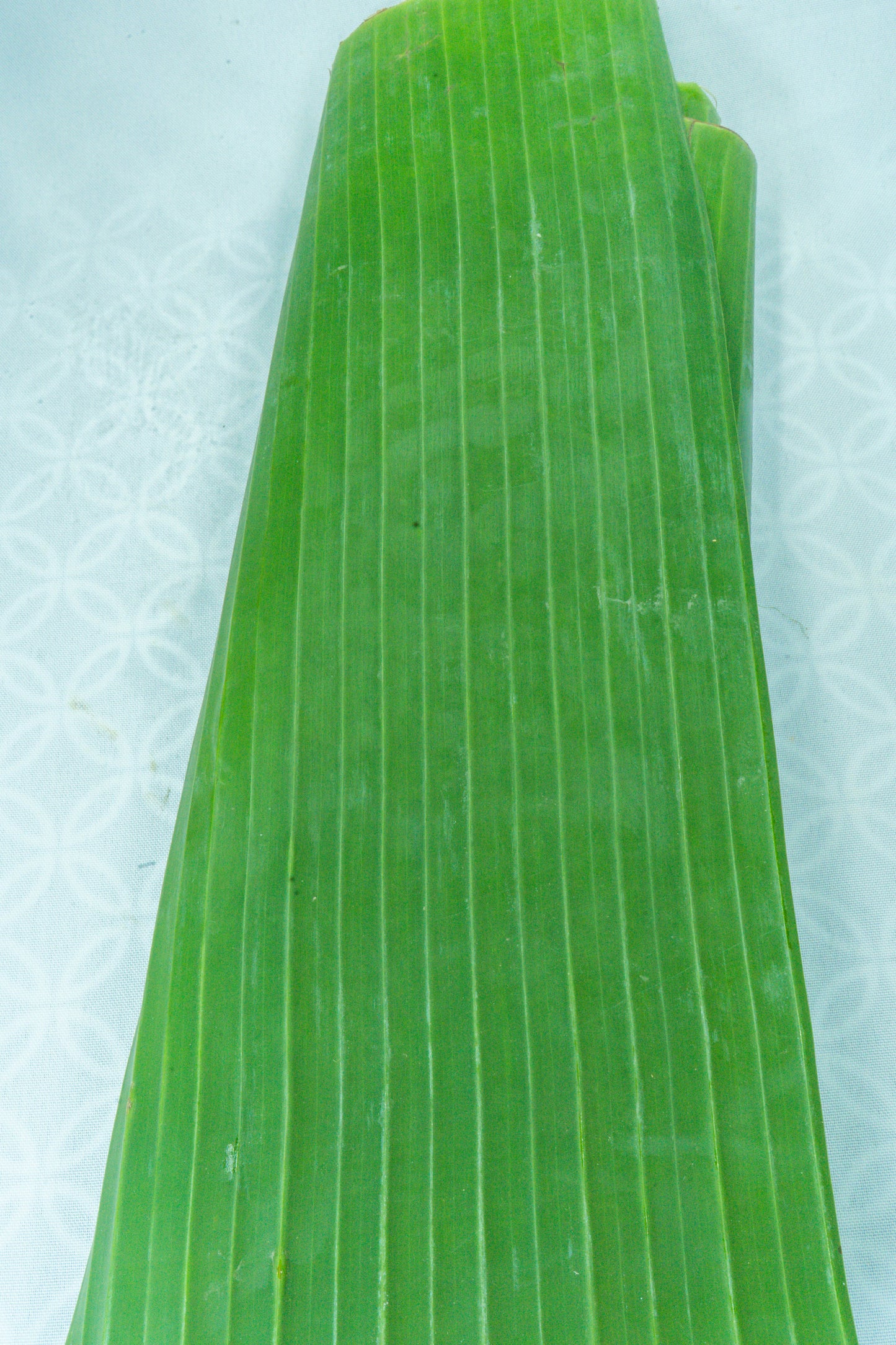 Hoja de Platano